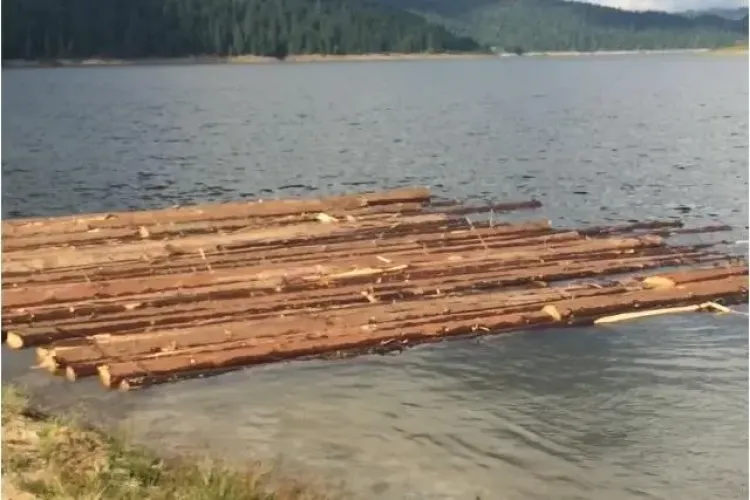 Clujeni prinși la furat de lemne. Transportau buștenii cu barca FOTO