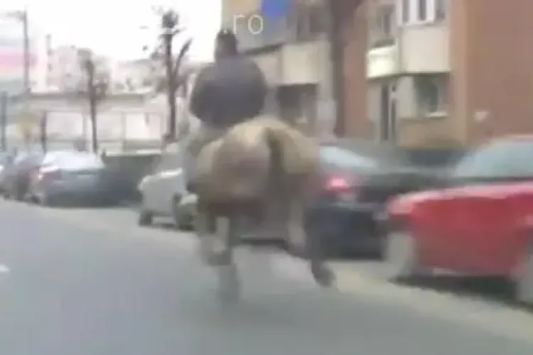 Vestul sălbatic e la Cluj! Un bărbat a fost filmat călărind ”cot la cot” cu mașinile în traficul clujean VIDEO