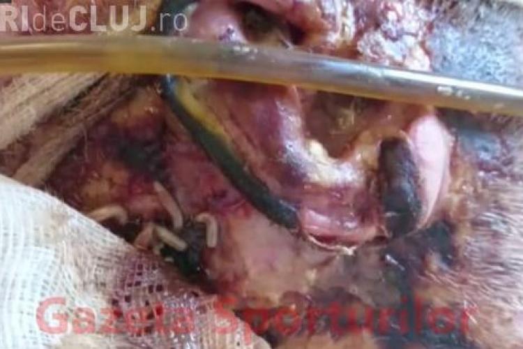 Imagini ȘOC de la un spital din România! Colcăie viermii pe un pacient. Ce a pățit e TRAGIC - FOTO