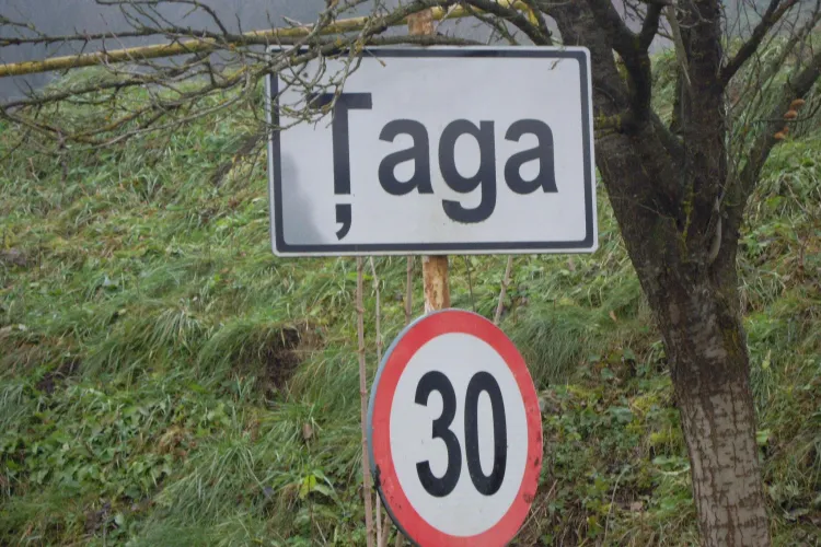 Un elev din Țaga, mai bun ca elevii de la licee de fițe din Cluj-Napoca: Se poate și fără meditații