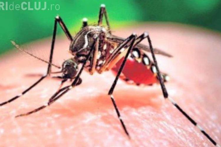 Virusul Zika, confirmat în România. O tânără de 27 de ani este internată