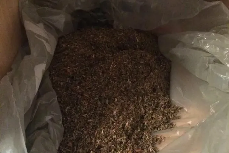 Bandă de traficanți de droguri, destructurată la Cluj. Polițiștii au ridicat droguri, zeci de mii de lei și pistoale FOTO