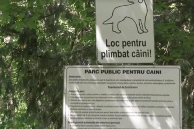 Loc de plimbat câini în Gheorgheni de 2.700 de mp - VIDEO