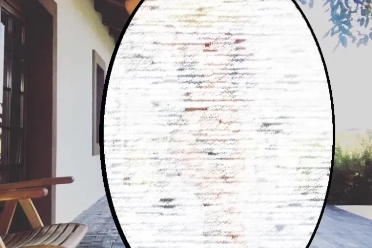 Fotografia cu care DELIA a stârnit un scandal - FOTO