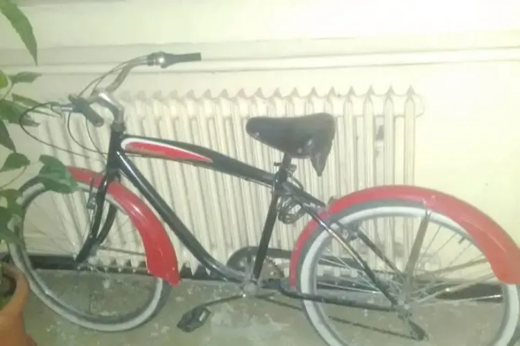 Un celebru artist din România a fost prădat de hoți. Ce le transmite, pe Facebook, celor care i-au furat bicicleta