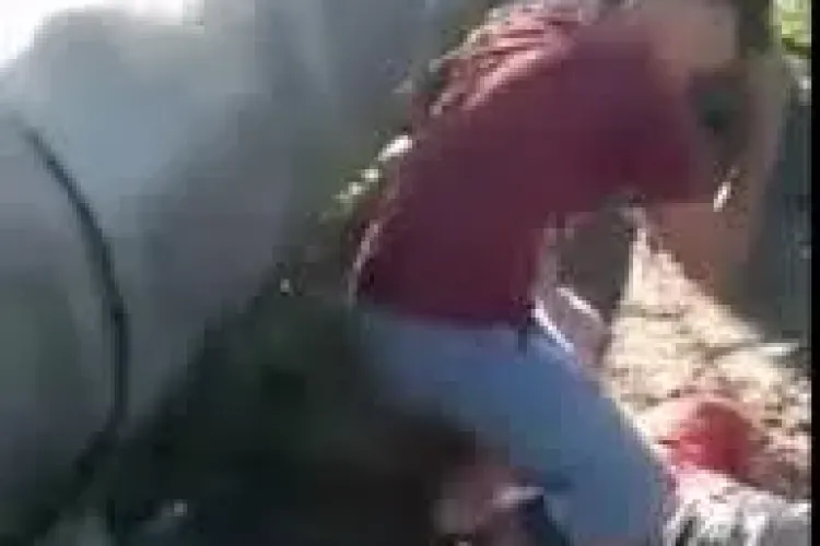 Mesajul tinerei care a filmat bătaia cruntă de la Cluj. Nu-i PARE RĂU