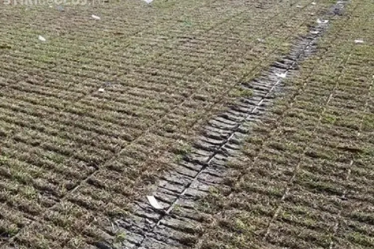 Cum va fi refăcut gazonul de pe Cluj Arena