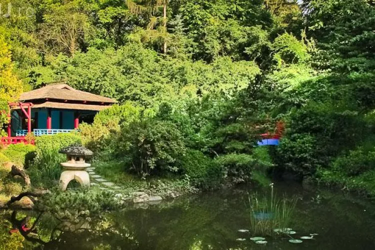 Spectacole de operă în Mănăștur și la Grădina Botanică. Intrarea este liberă