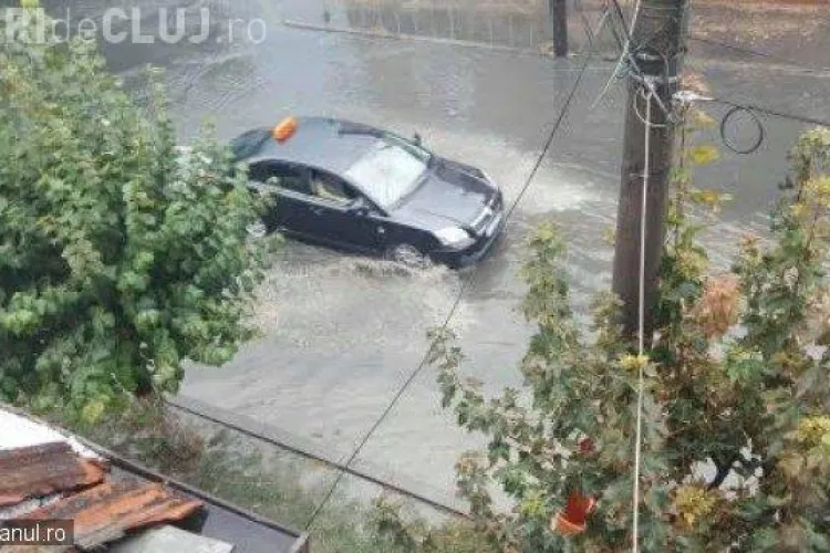 Furtuna a făcut PRĂPĂD la Dej. Canalizarea a refulat pe străzi, iar copacii au fost smulși din pământ