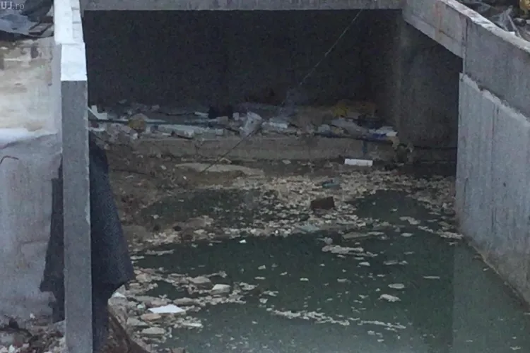 Șobolani cât pisicile pe un șantier din cartierul Bună Ziua, lângă strada Marin Preda - VIDEO