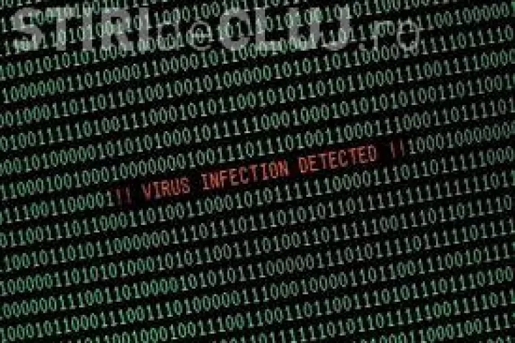 Un celebru virus informatic, depistat și la Cluj. Cum afectează Zepto calculatoarele