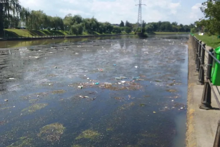 Un utilaj amfibiu va curăța vegetația pe râul Someş și în lacurile de acumulare - FOTO