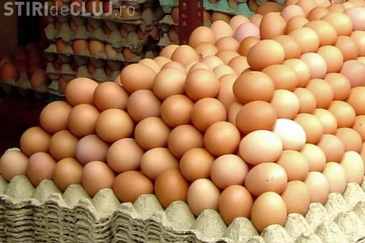 Polonezii ne invadează cu ouă suspecte! Cum să le recunoști 