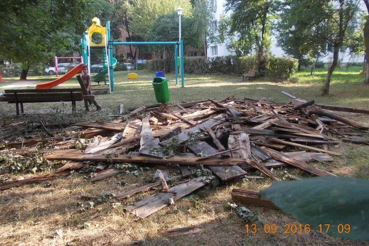 Cluj-Napoca - Au transformat un parc în depozitul lor de deșeuri - FOTO