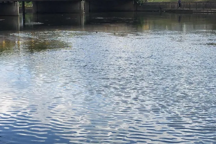 Cum arată Someșul după ce au fost scoase plantele din apă cu utilajul amfibiu - FOTO