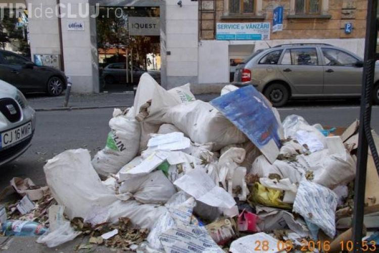 Rampe de gunoi ilegale, depistate prin tot Clujul. Polițiștii locali au împărțit amenzi de aproape 10.000 lei