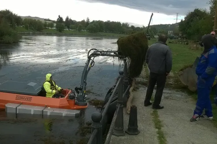 Utilajul amfibiu a început operațiunea de curățare a vegetației din râul Someş - FOTO