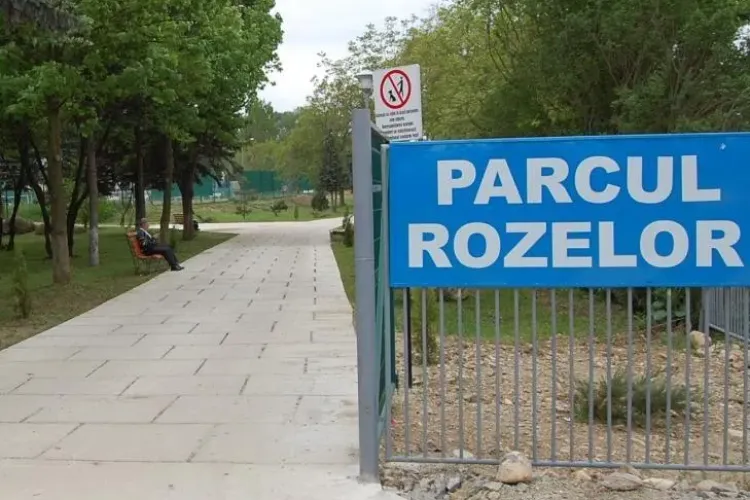 Femeie bătută pentru că își plimba căinele, în Parcul Rozelor