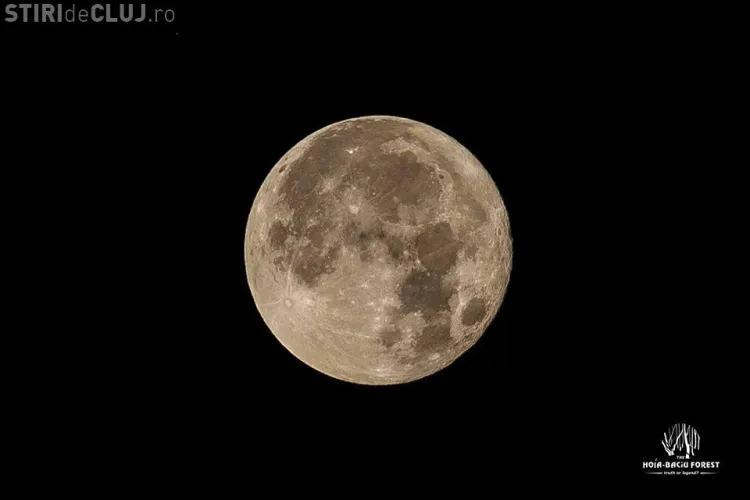 Super-luna văzută din pădurea Hoia Baciu - FOTO