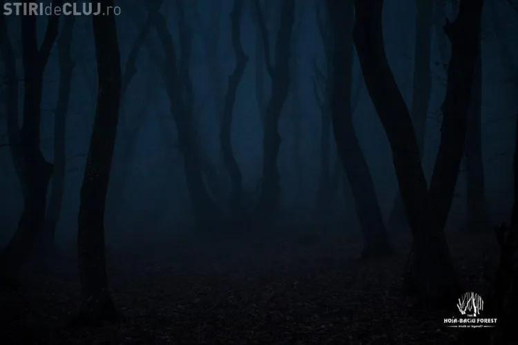 OZN în Pădurea Baciu? O dronă a filmat un obiect care se deplasează cu 400 m pe secundă - VIDEO