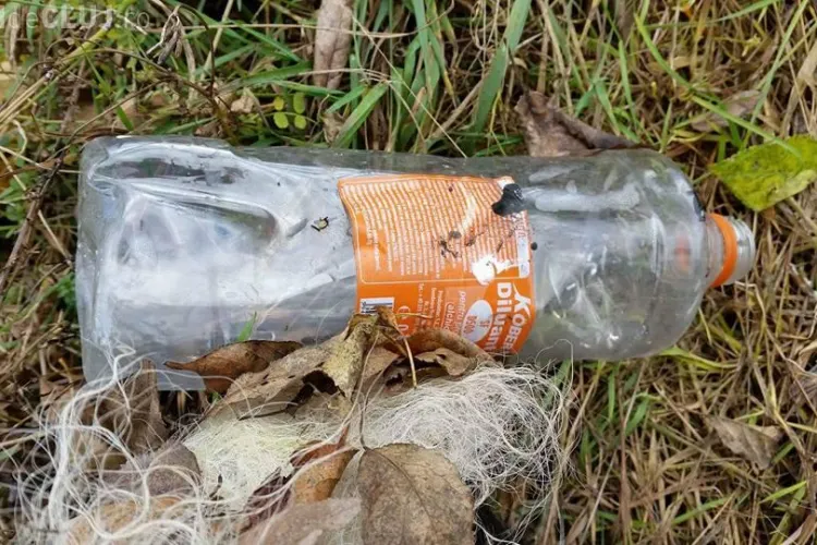 Cluj - Au dat foc unui câine pe malul Someșului. Se caută VINOVAȚII - FOTO