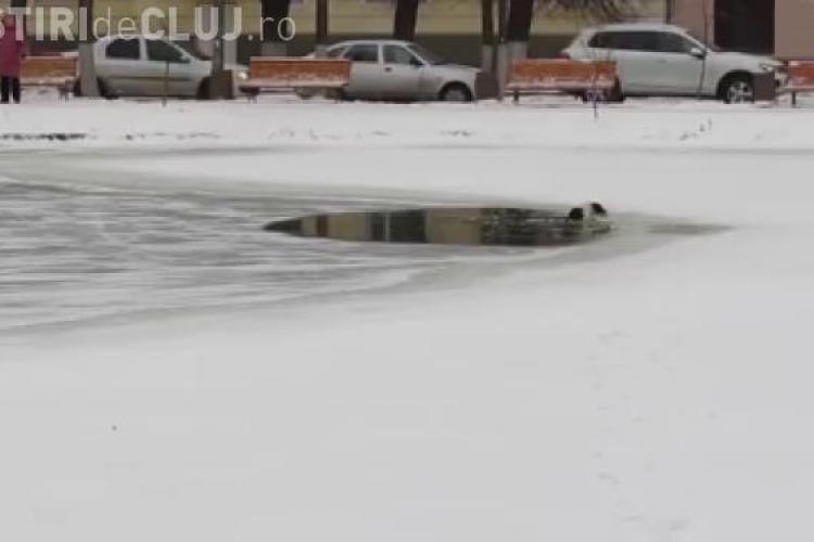 Un bărbat și-a riscat viața pentru a salva un câine căzut într-un lac înghețat VIDEO