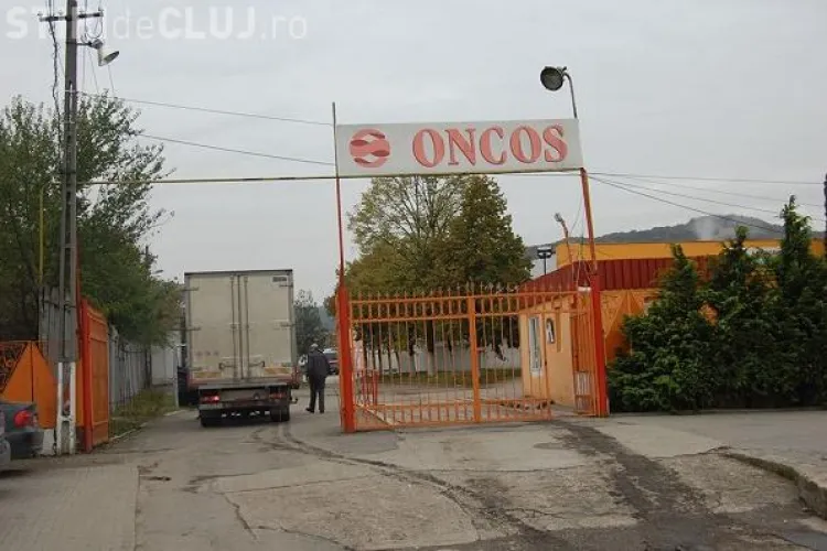 Florești - Patru persoane au fost puse sub control judiciar, după perchezițiile de la fermele de pui