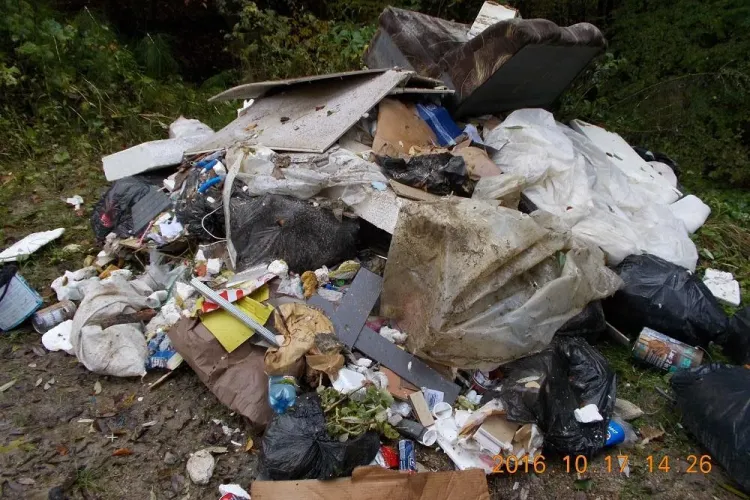 Cluj-Napoca: A aruncat deșeuri la Sf. Ioan și a FUGIT! L-au depistat foarte SIMPLU