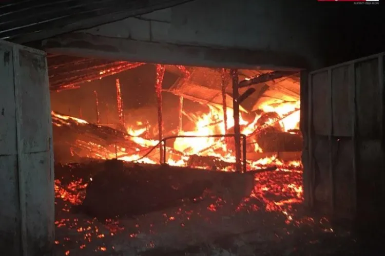 CLUJ: Incendiu puternic la o fermă de vaci. Mai multe animale au ars de vii VIDEO