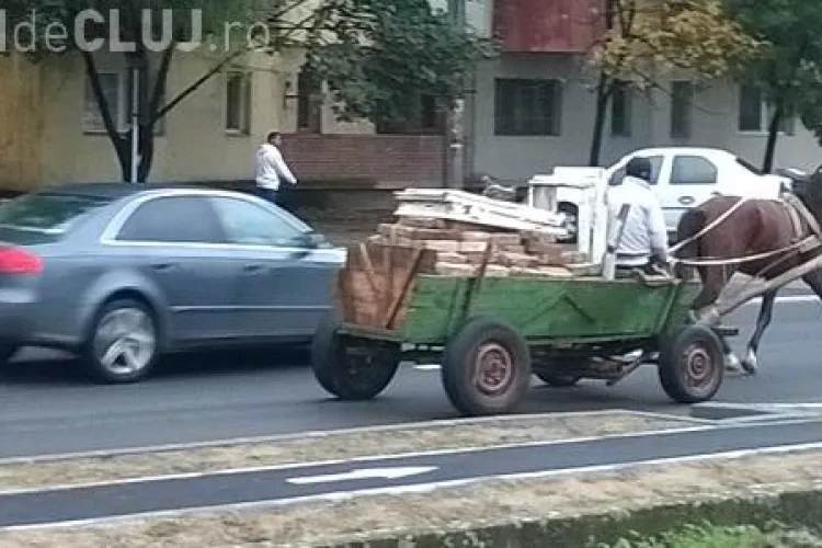 Căruțele vor trebui să aibă asiguri RCA