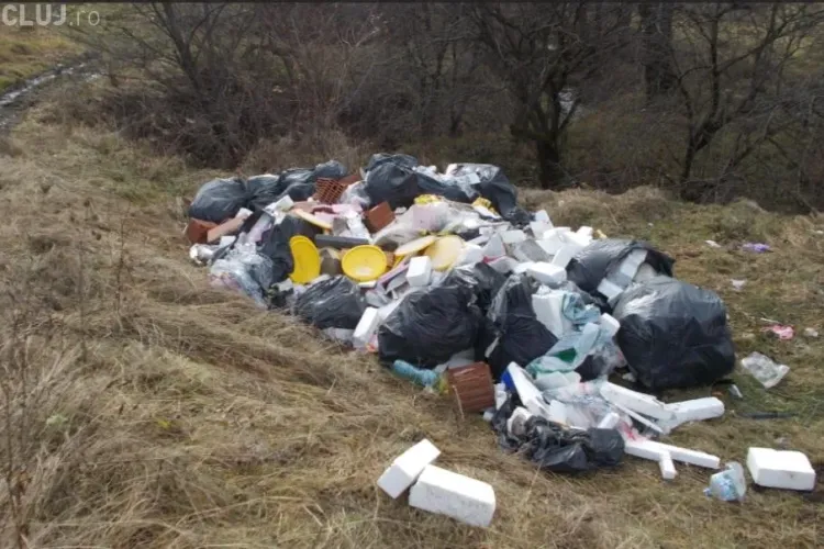 Depozitare ilegală de deșeuri în pădurea Făget