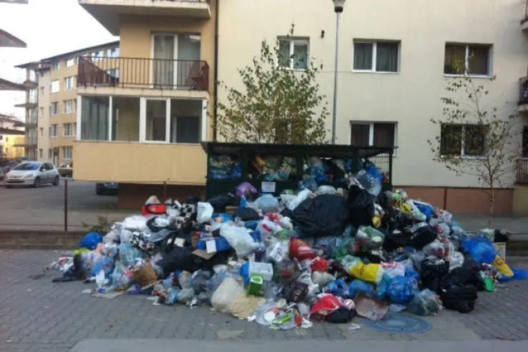 Ședință extraordinară a CL Florești pentru a rezolva problema deșeurilor. Asta e BĂTAIE DE JOC