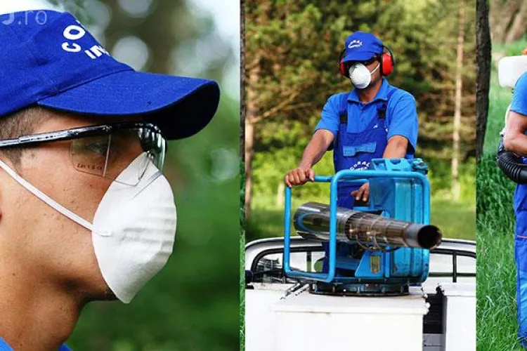 Cluj-Napoca: Acțiune de deratizare pe domeniul public făcută de CORAL IMPEX