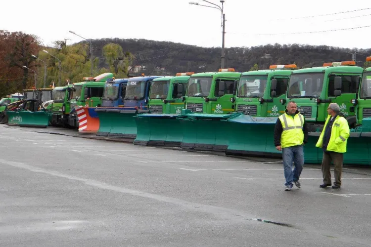 Rosal Cluj angajează șofer. Vezi unde se poate aplica pentru post și care sunt condițiile
