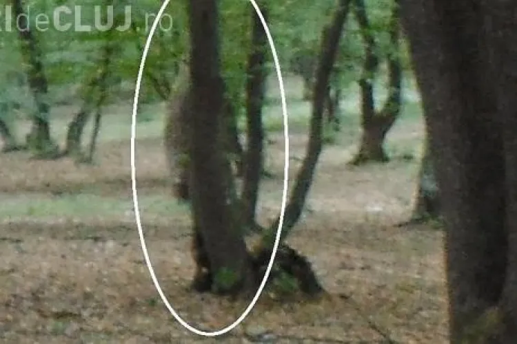 Un obiectiv din Cluj, primul într-un top al celor mai înspăimântătoare locuri din lume