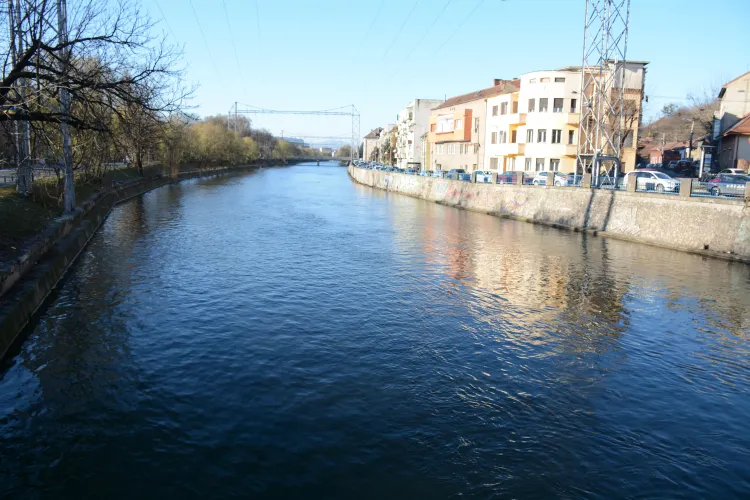 Operațiuni de curățare intensivă a râului Someș, la Cluj. S-au strâns sute de tone de vegetație până acum FOTO