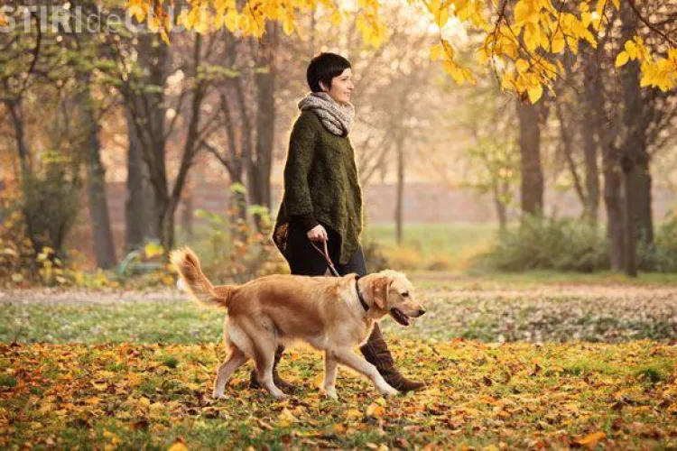 Cluj-Napoca: Sancțiuni pentru proprietarii de câini