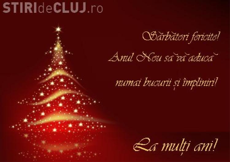 Fany Va Doreste Sarbatori Fericite De 60 000 De Ori Stiri De Cluj