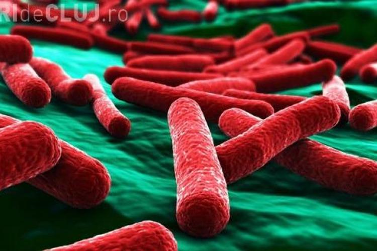 Bacteria E.Coli, decoperită într-un abator din Cluj. ANSV a făcut abia acum publică informația