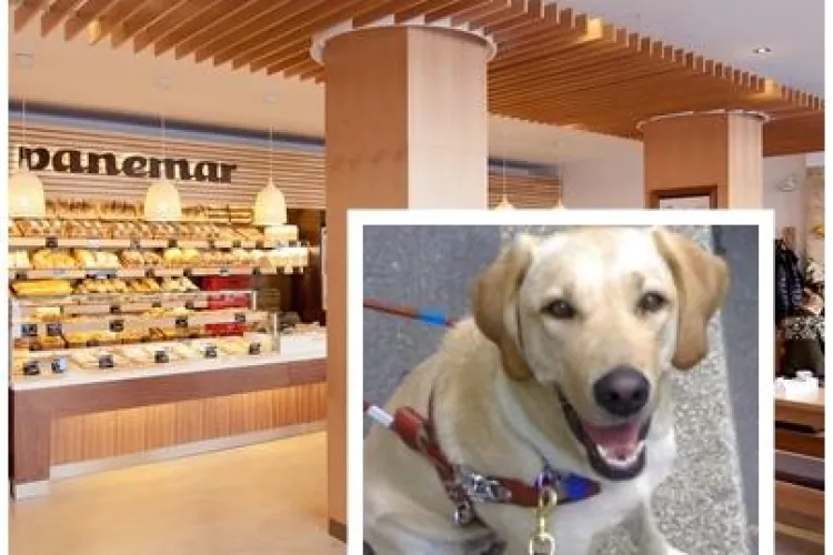 Cluj: Replica Panemar după ce o nevăzătoare a fost dată afară din magazin din cauza cățelului însoțitor