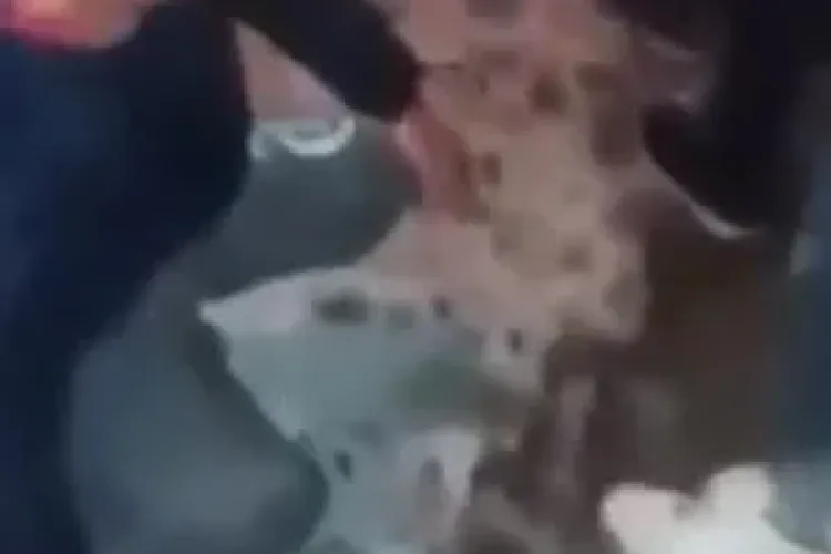 Baiat UMILIT si BATUT de o gasca de cartier! Au filmat si postat totul pe Facebook - VIDEO