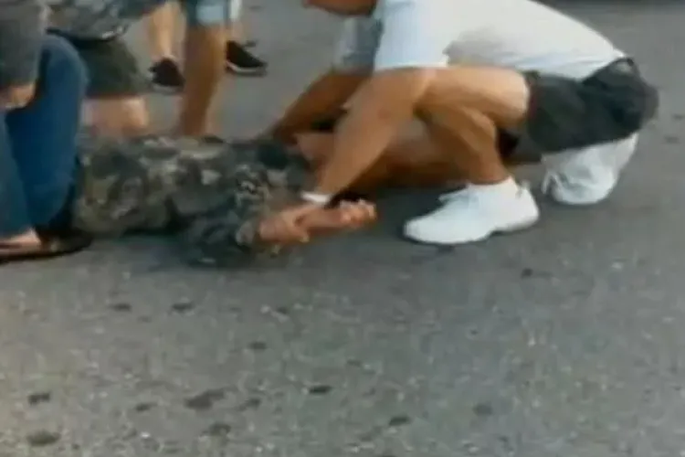 Tâlhar prins de doi clujeni curajoși, după ce a fugit cu poșeta unei femei. Hoțul a încercat să-i înjunghie cu o șurubelniță