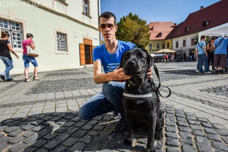 Nici taximetriștii din Cluj nu-s mai BUNI! Au refuzat transportul unui tânăr nevăzător și a câinelui ghid  