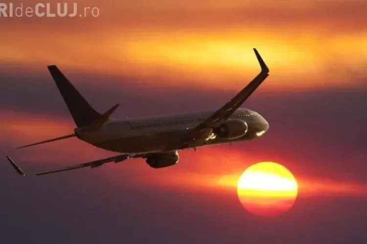 Și-a luat toate animalele de companie cu el în avion. Imaginea e uluitoare