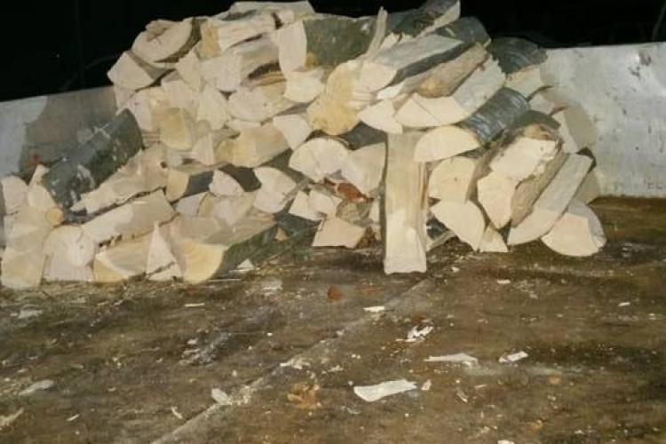 11 mașini confiscate în Cluj pentru că transportau lemne fără acte