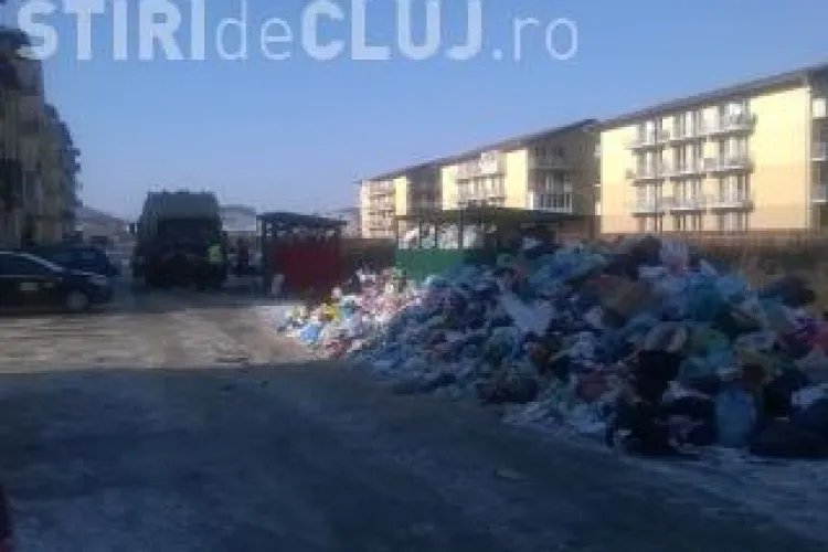 S-a aprobat proiectul capitalizării firmei de salubritate din Florești. Se achiziționează noi autospeciale - VIDEO