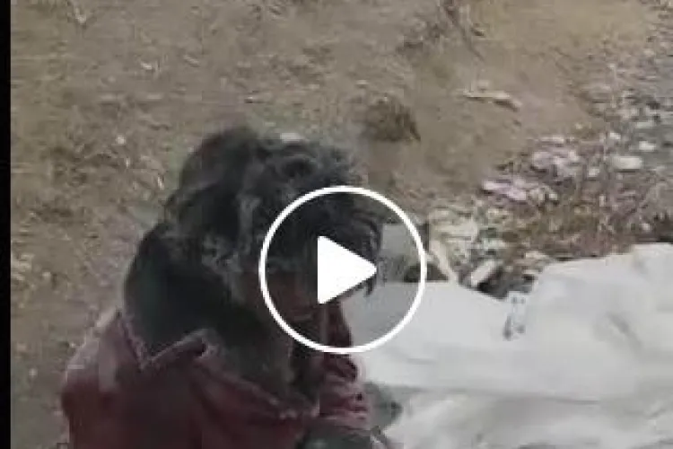 Femeia care traieste in cenusa la Pata Rat: "Avem Cenușăreasa de Cluj. Pffff.....Groaznic" VIDEO