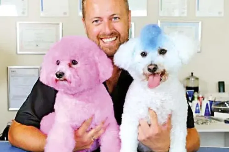 Câinii, consideraţi persoane şi puși la cheltuieli de întreţinere