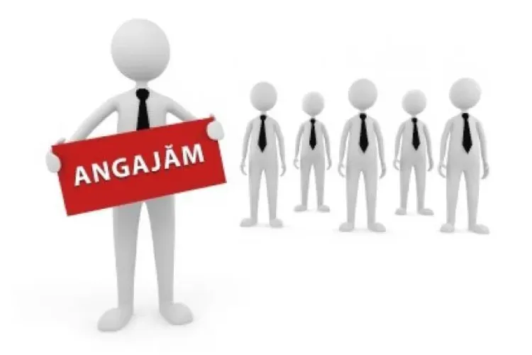 Secondtex caută angajat. Vezi ce post se scoate la concurs (P)