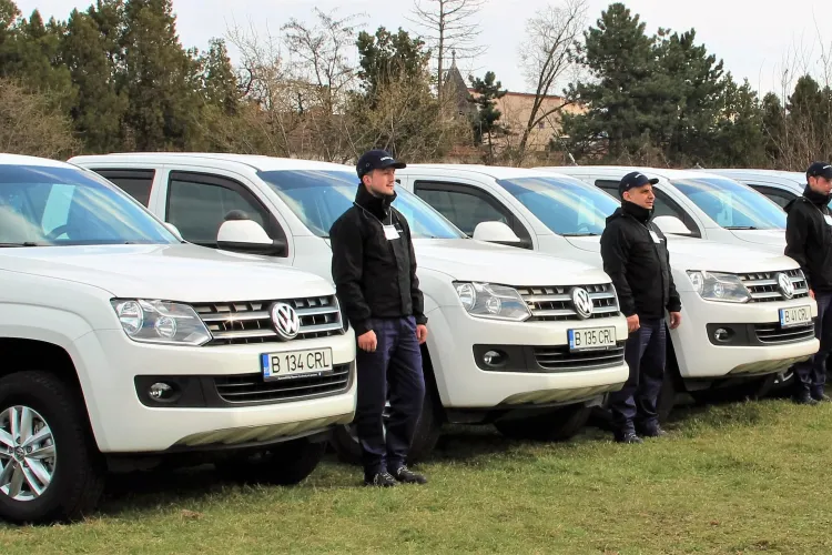 Cluj-Napoca: Acțiune de combatere a rozătoarelor în perioada 6 - 13 martie